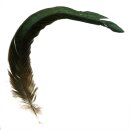 Hahnenfeder schwarzgrün schimmernd, ca. 30-35cm...