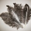 Straußenfeder mit runder Spitze, ungefärbt dunkel, ca. 50-60cm